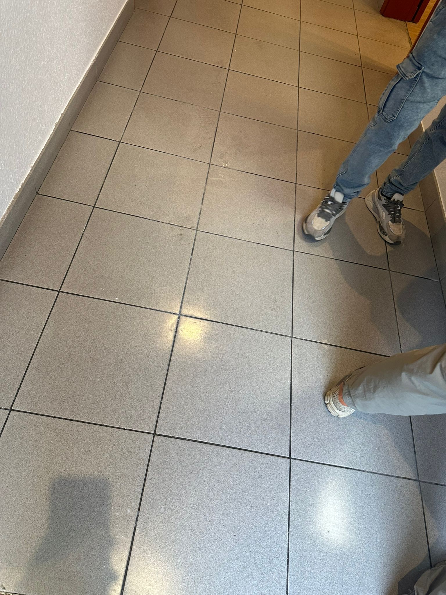 Nettoyage remise en etat apres travaux  toulouse 31000