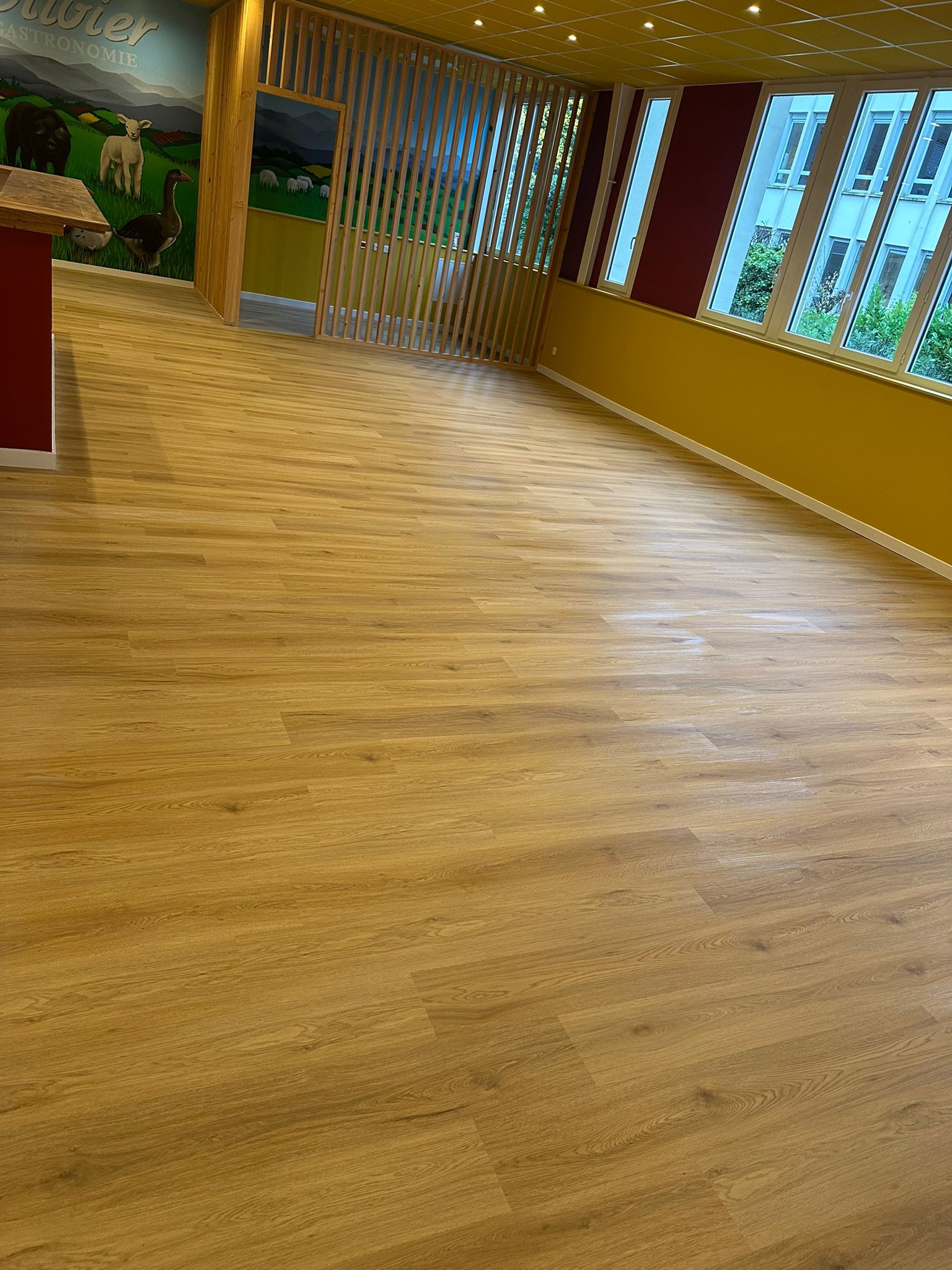 Nettoyage remise en etat apres travaux  toulouse 31000