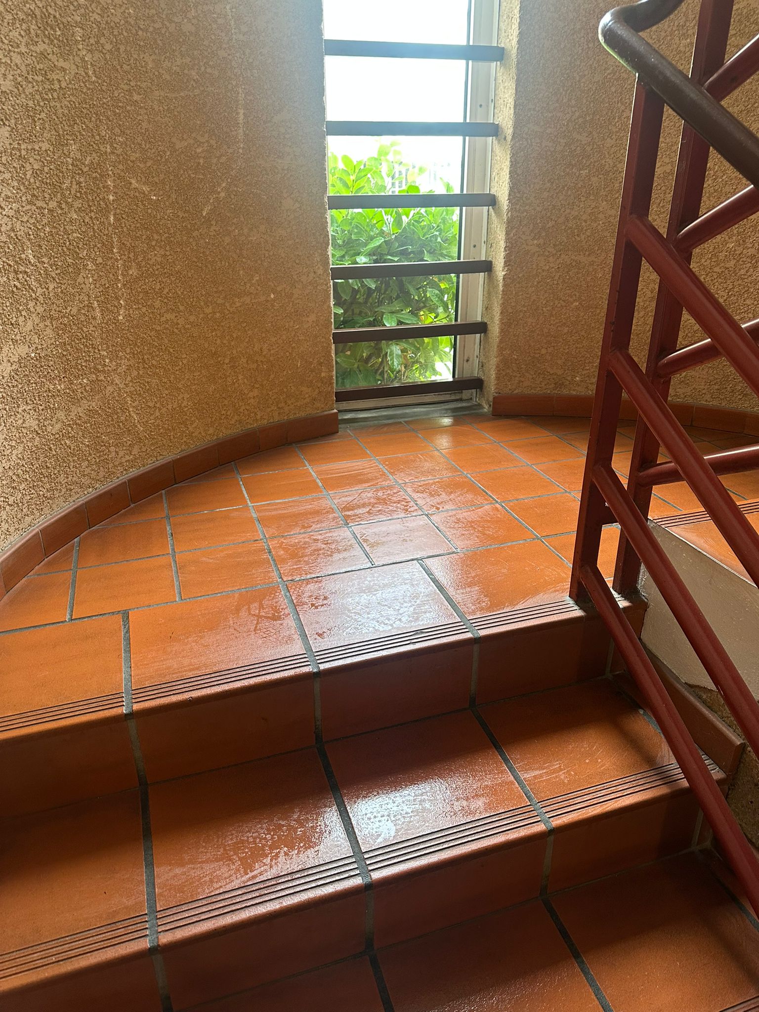 Nettoyage escalier  colomiers 31770