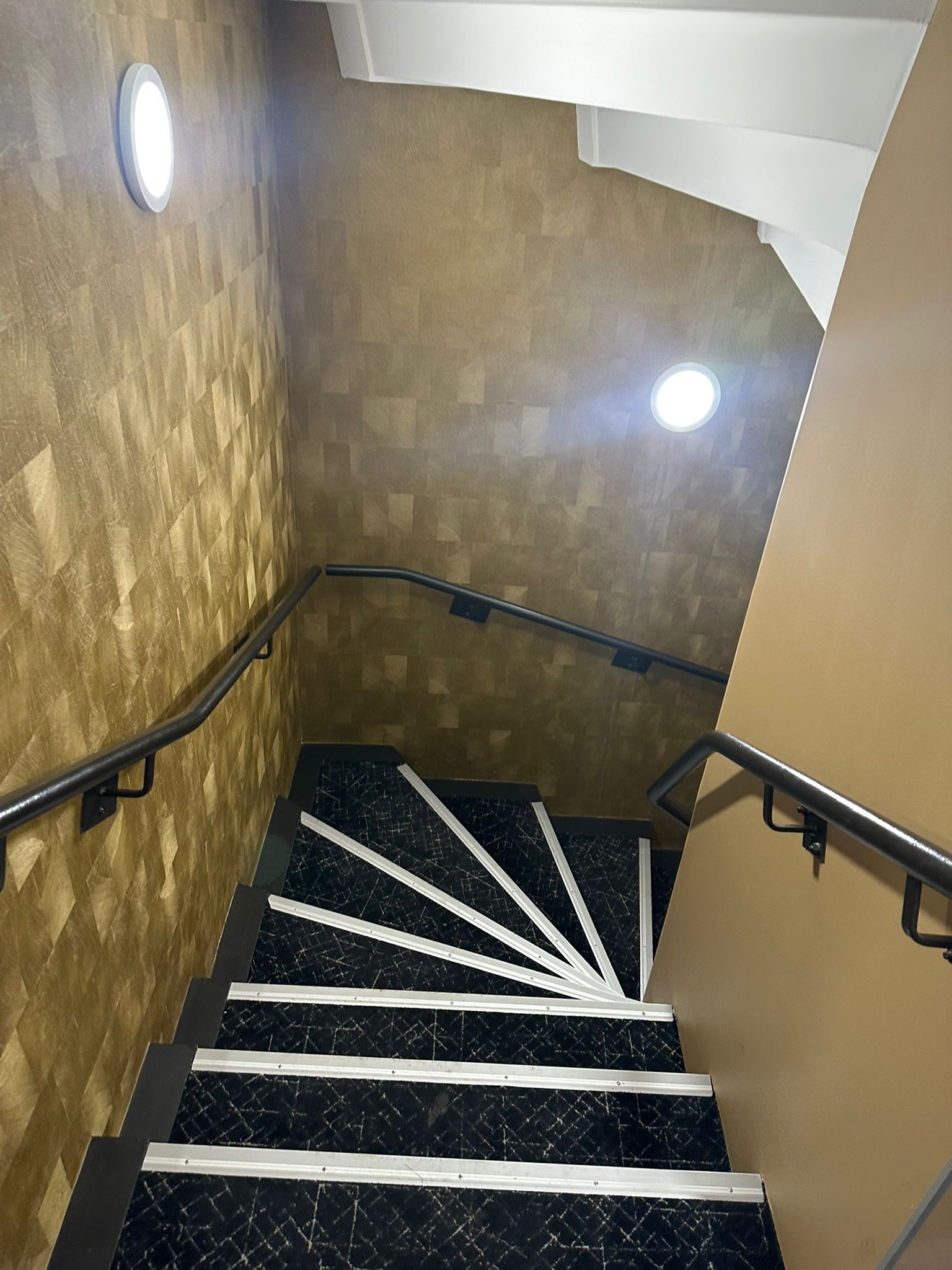 Nettoyage escalier  longages 31410