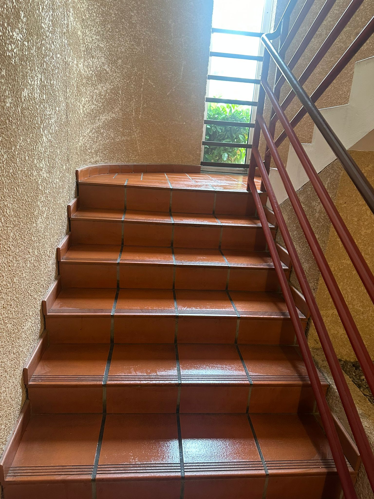 Nettoyage escalier  colomiers 31770