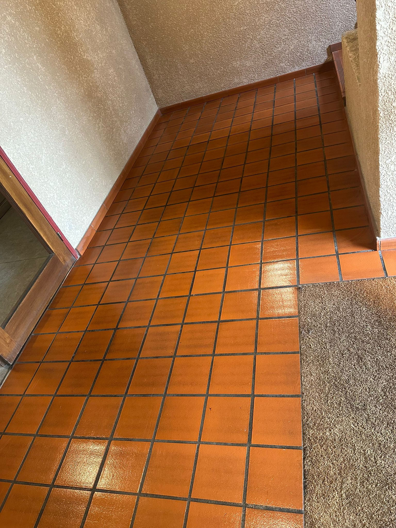 Nettoyage partie commune  colomiers 31770