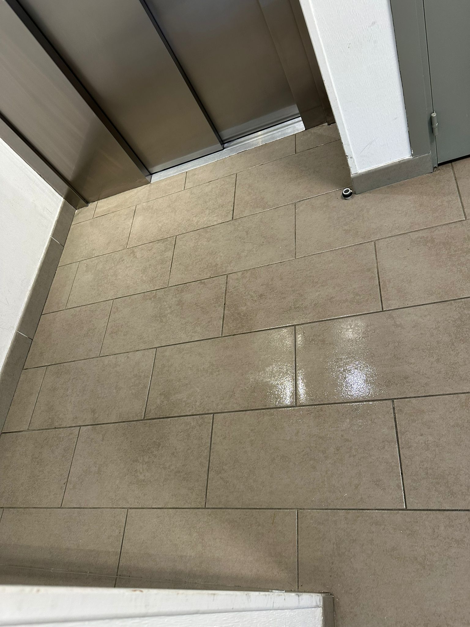 Nettoyage partie commune  toulouse 31000