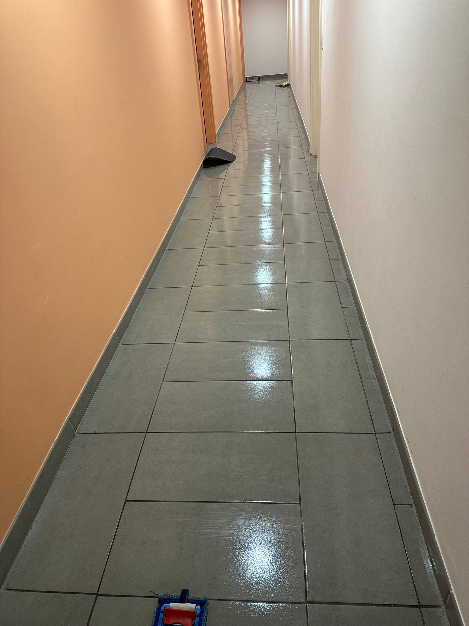 Nettoyage partie commune  toulouse 31000