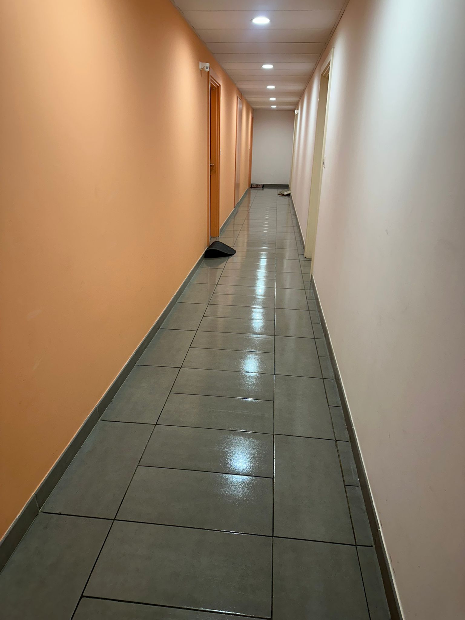 Nettoyage partie commune  toulouse 31000