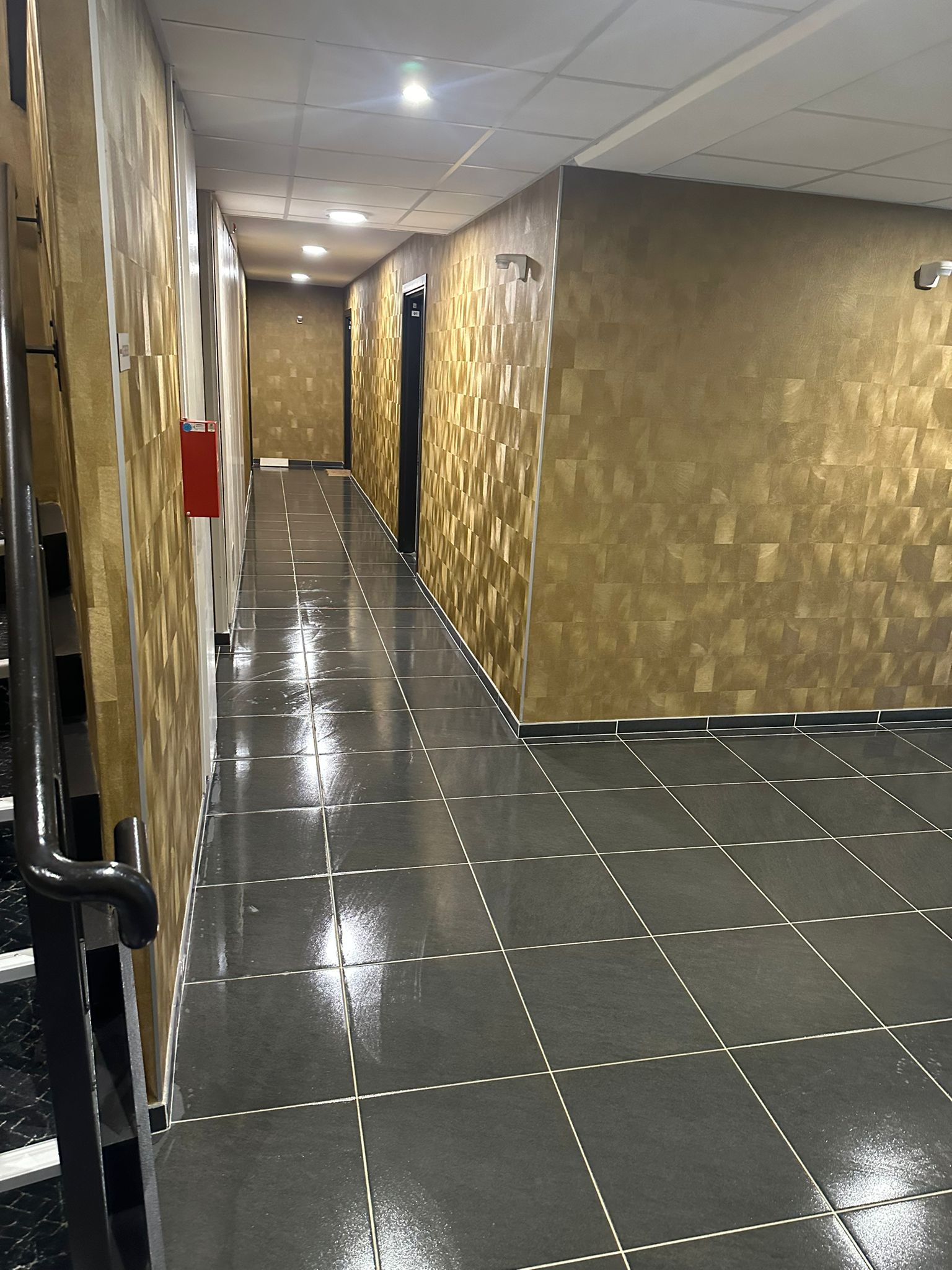 Nettoyage partie commune  longages 31410