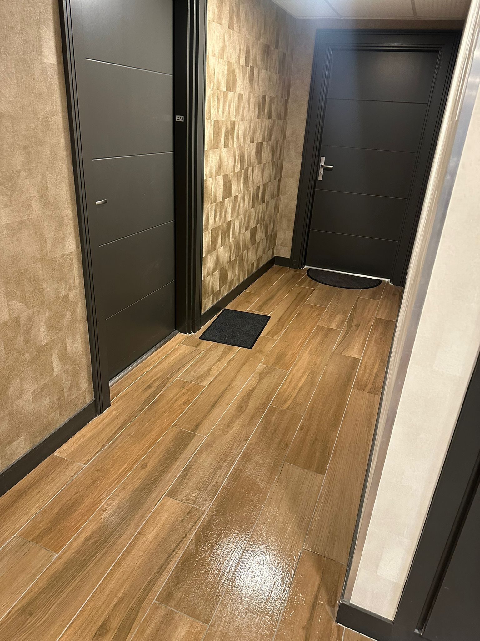 Nettoyage partie commune  toulouse 31000