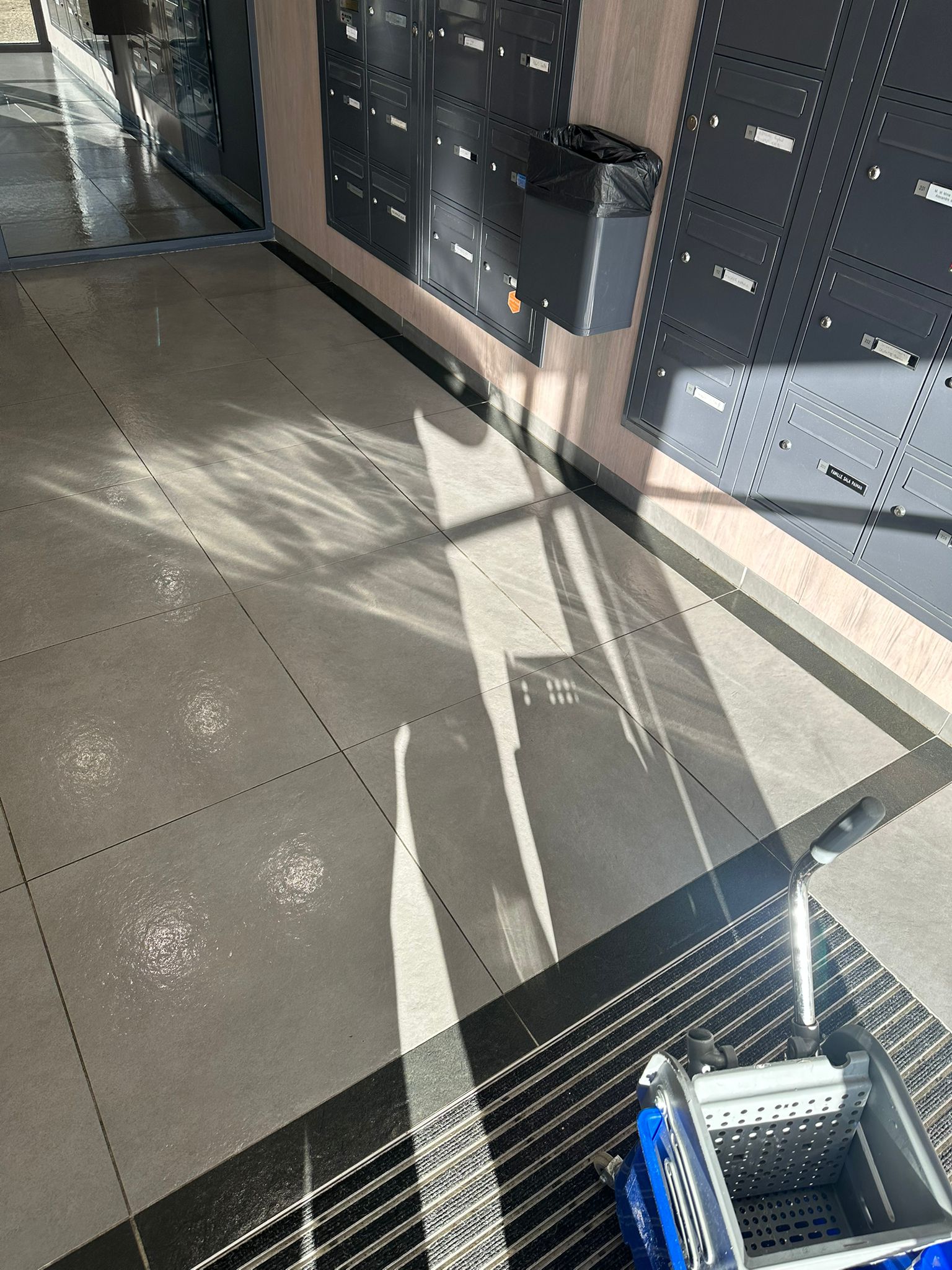 Nettoyage partie commune  toulouse 31000