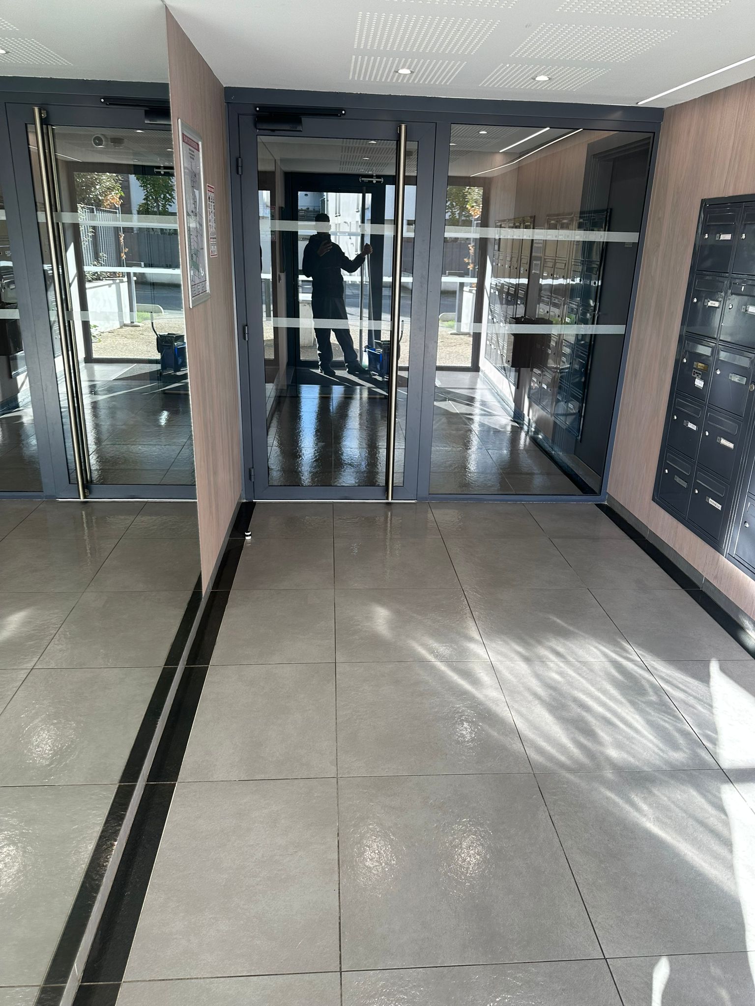 Nettoyage partie commune  toulouse 31000