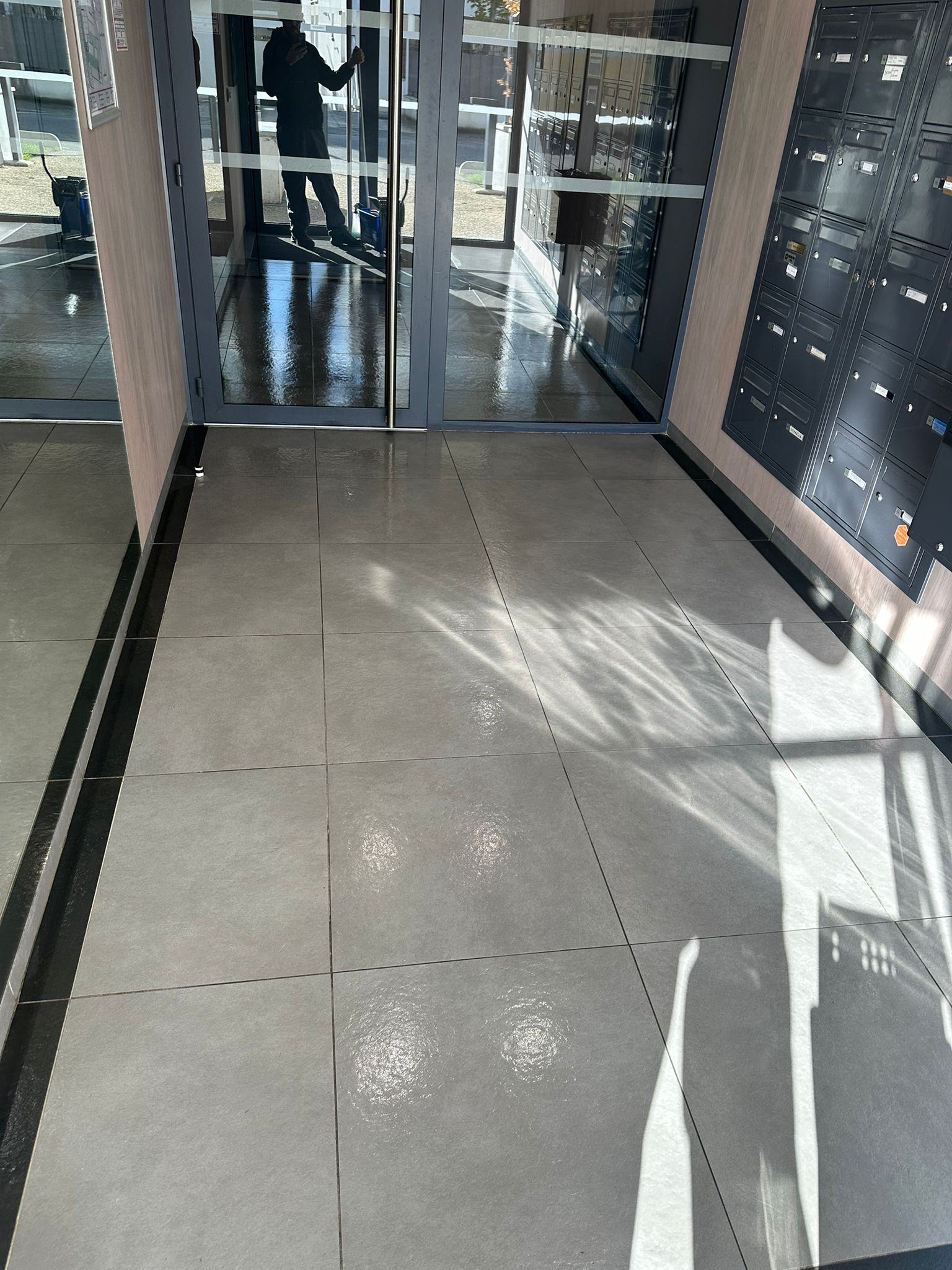 Nettoyage partie commune  toulouse 31000