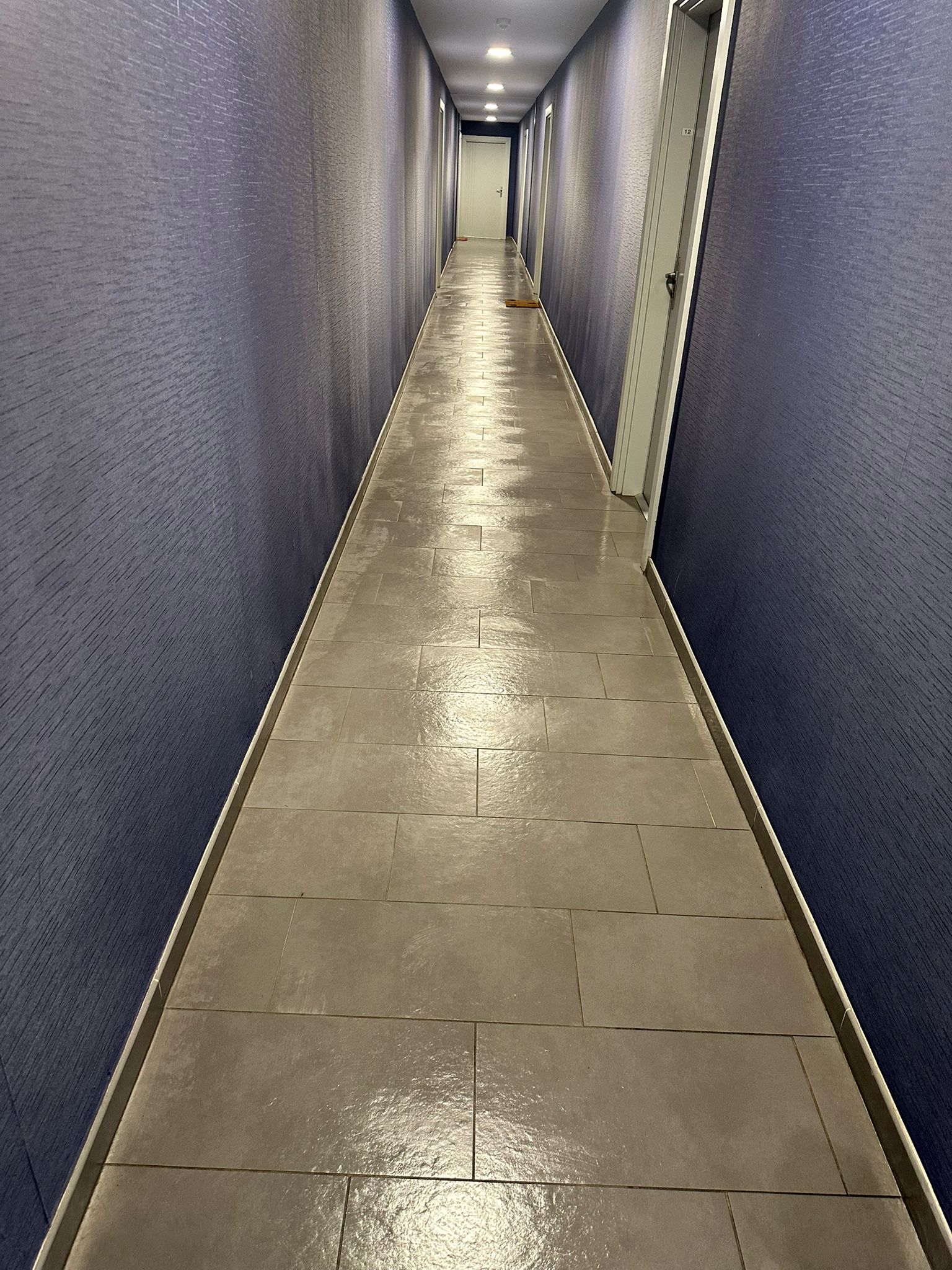 Nettoyage partie commune  toulouse 31000