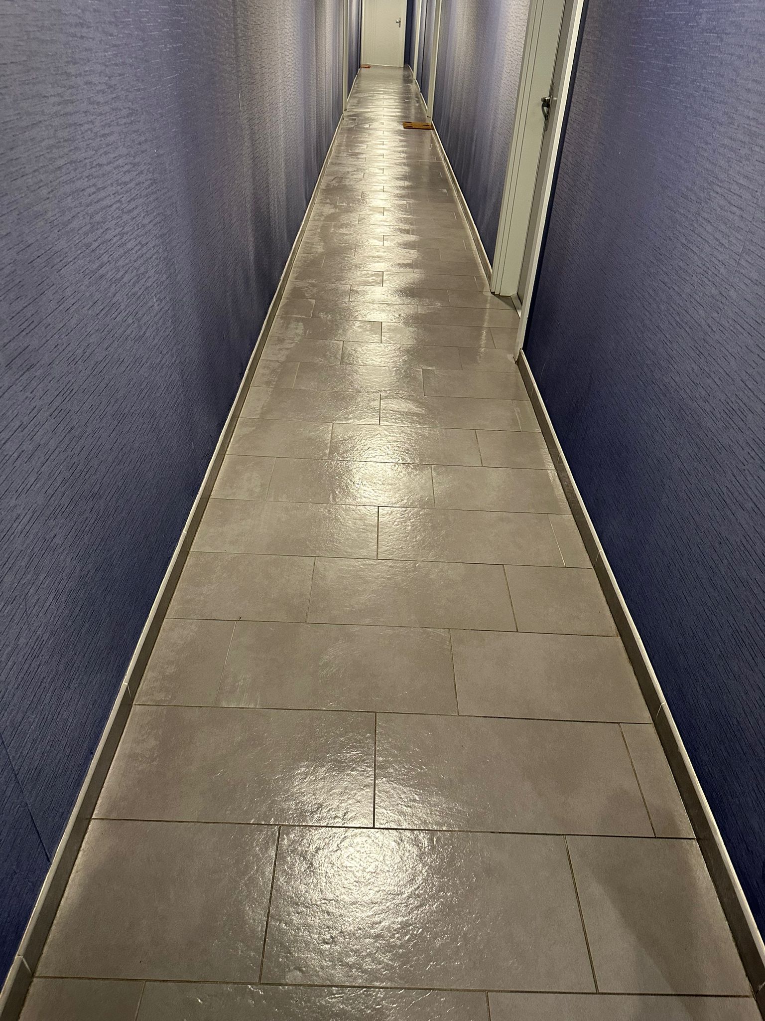 Nettoyage partie commune  toulouse 31000