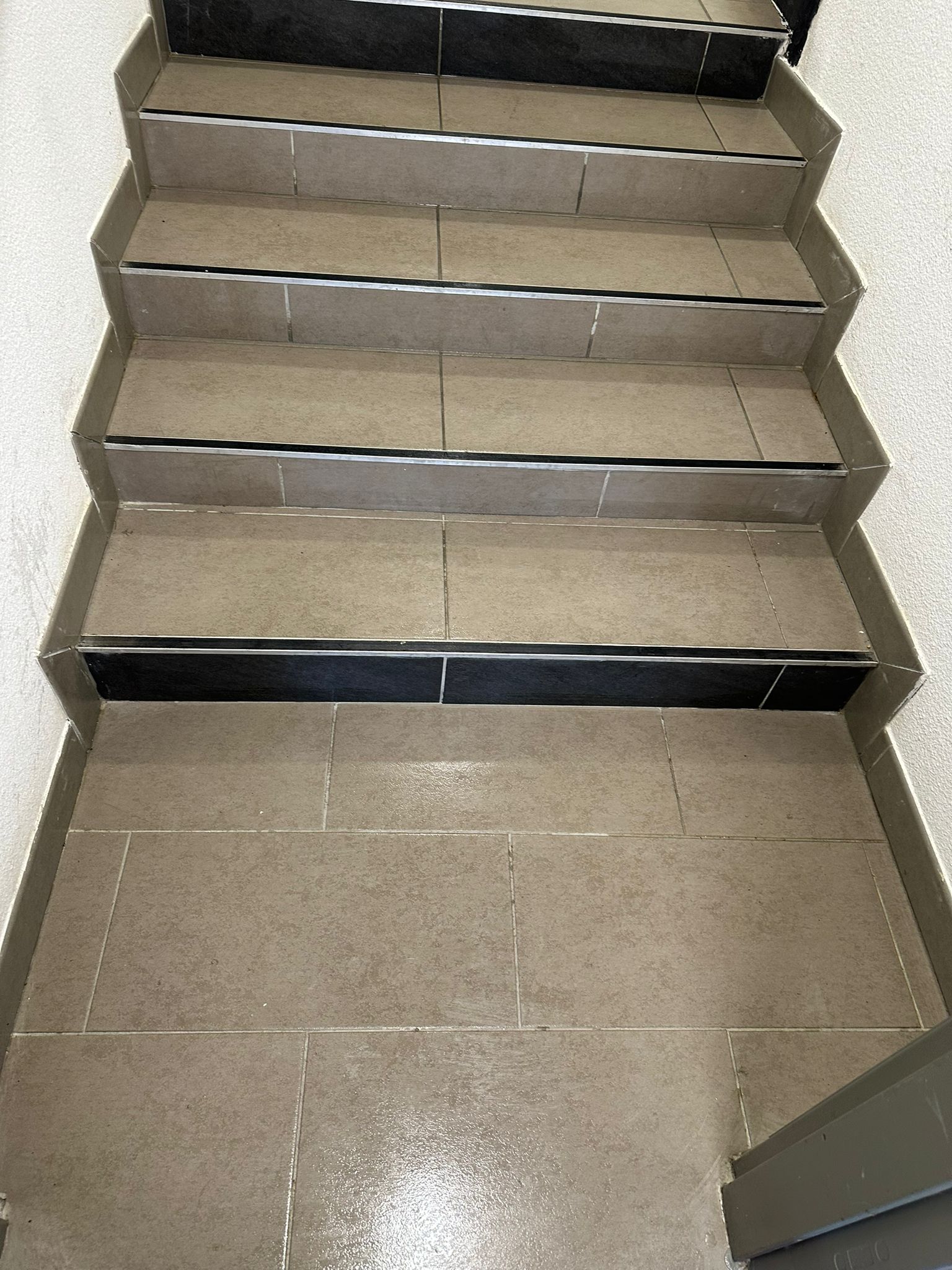 Nettoyage partie commune  toulouse 31000