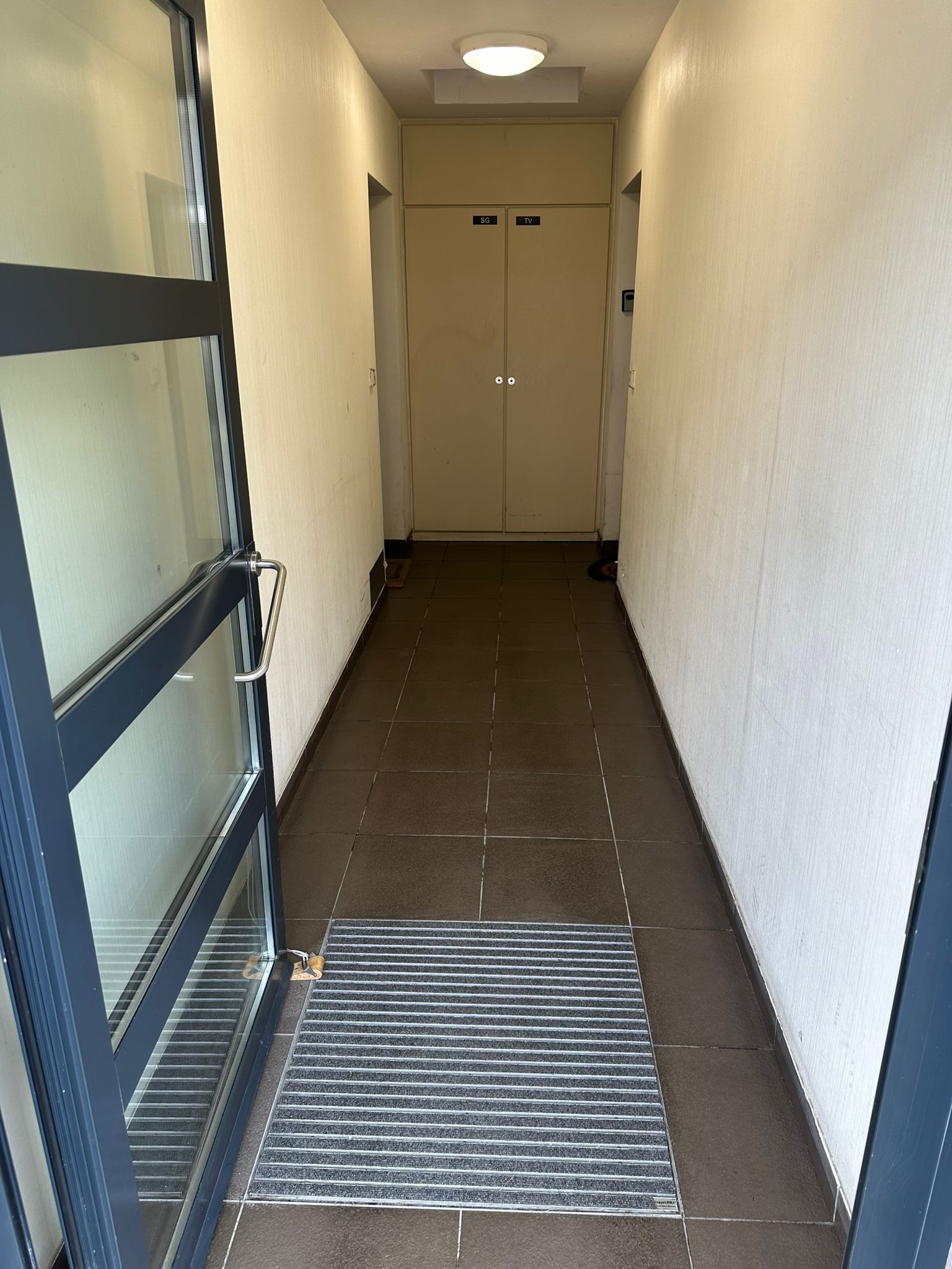 Nettoyage partie commune  toulouse 31000