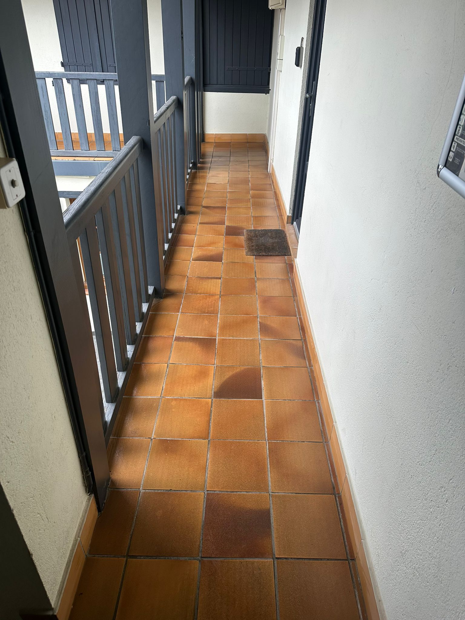 Nettoyage partie commune  toulouse 31000