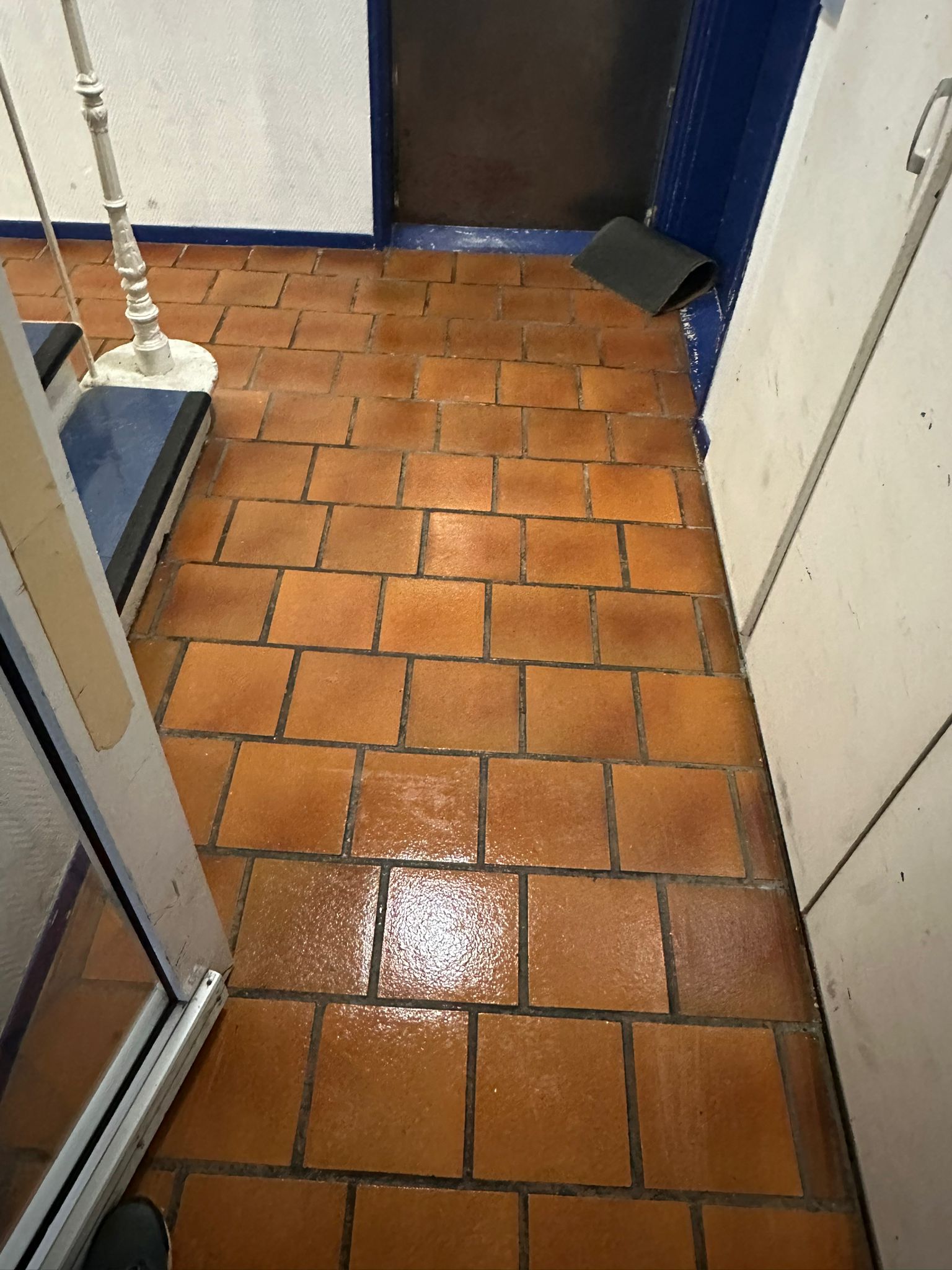 Nettoyage partie commune  colomiers 31770