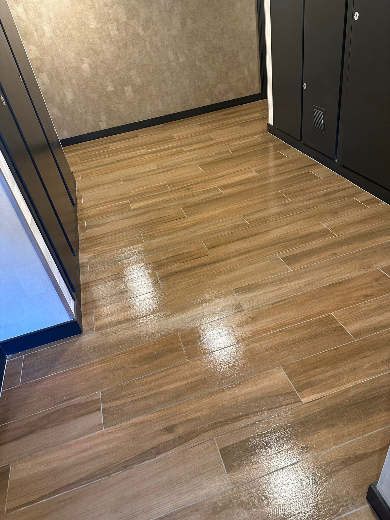 Nettoyage partie commune  toulouse 31000