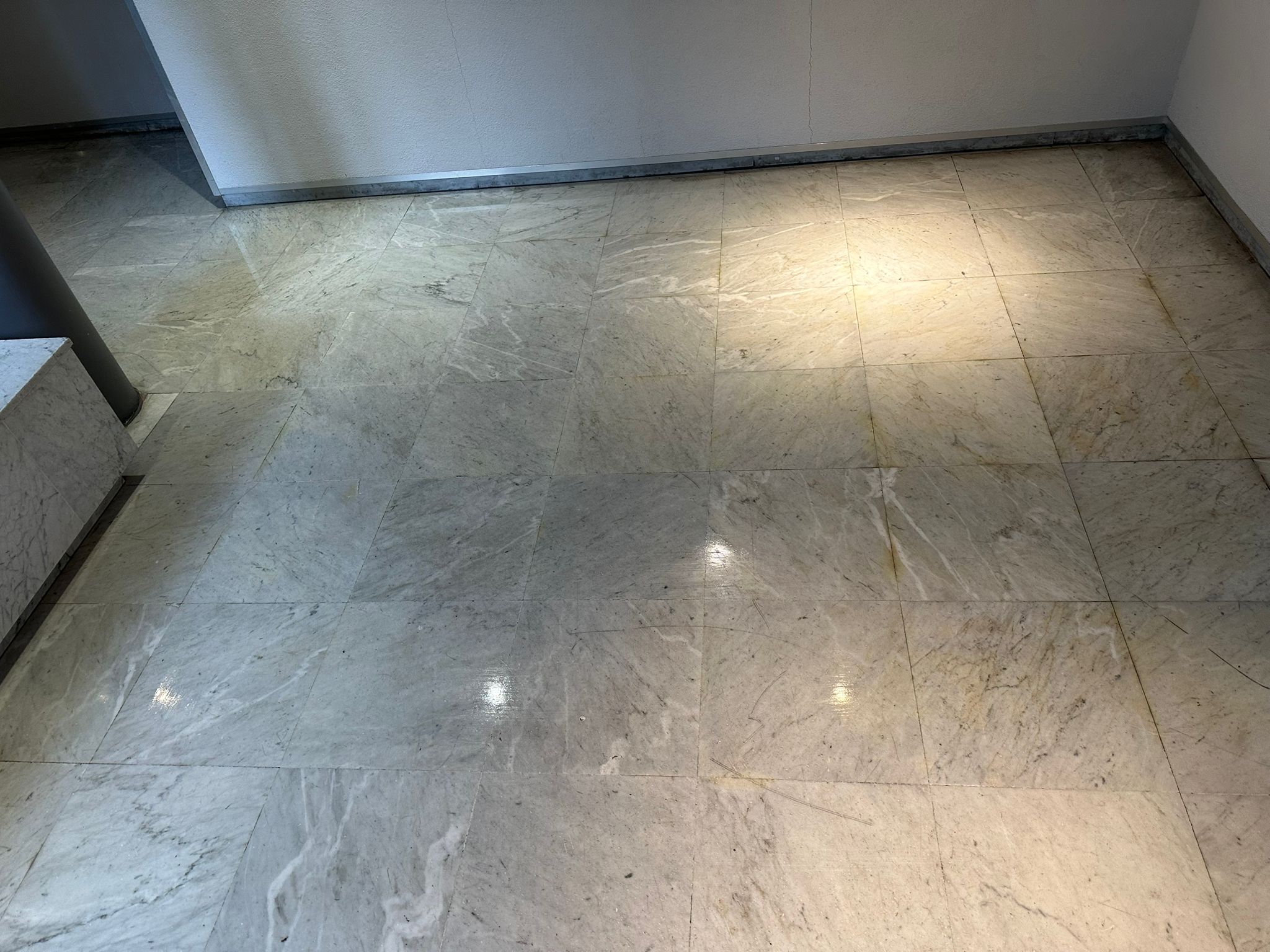 Nettoyage partie commune  toulouse 31000