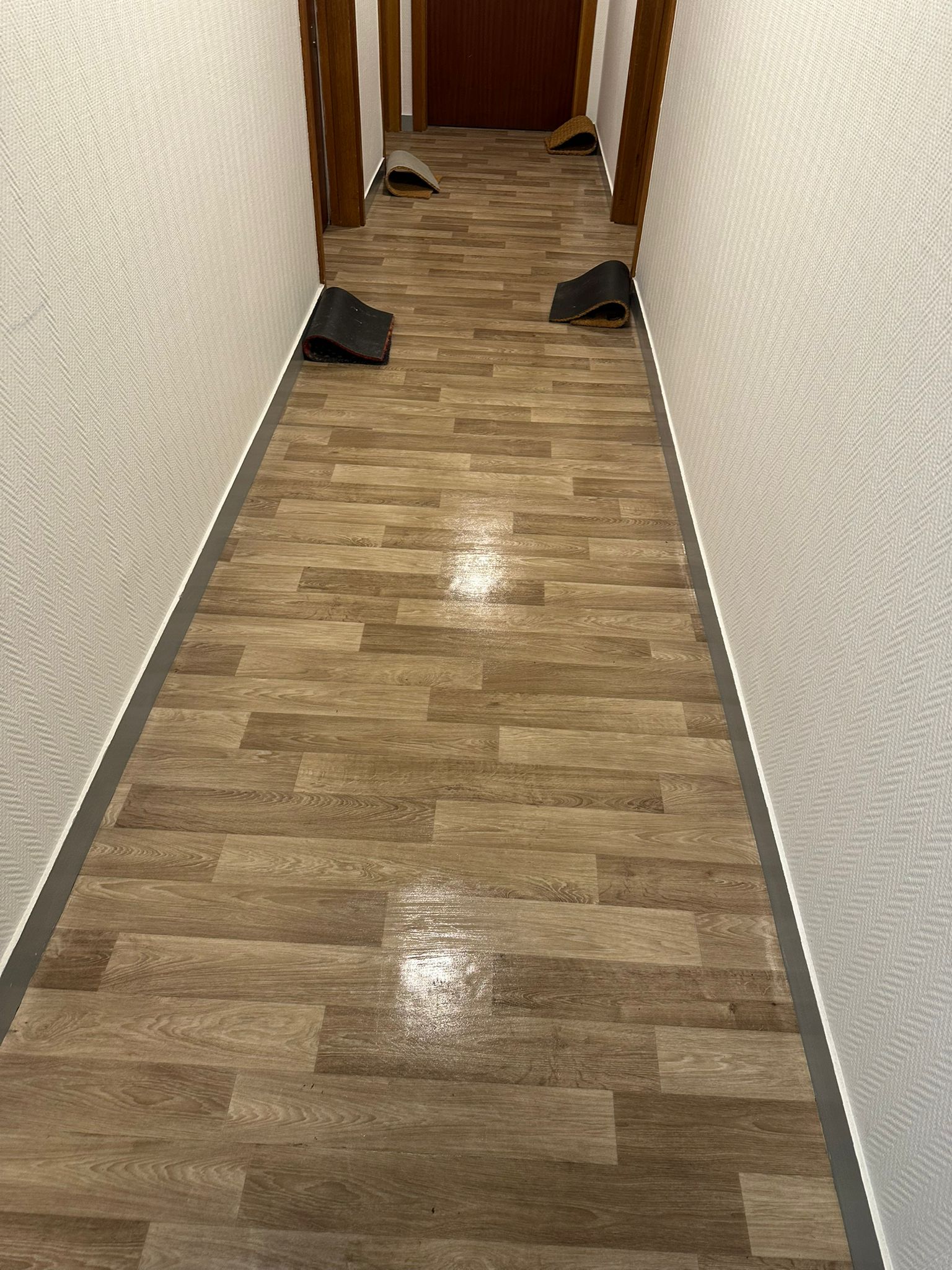 Nettoyage partie commune  toulouse 31000