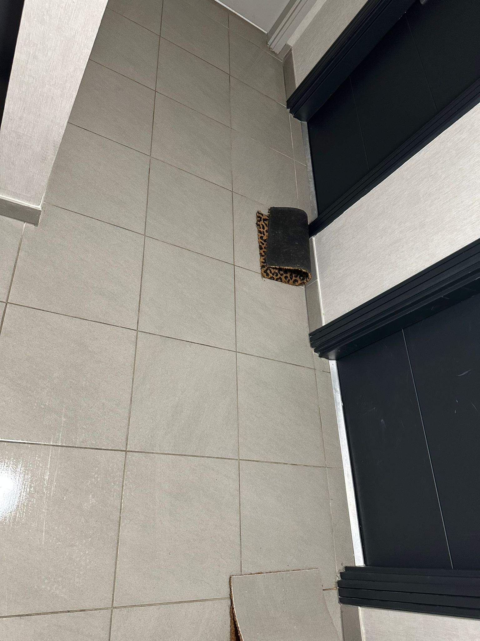 Nettoyage partie commune  toulouse 31000