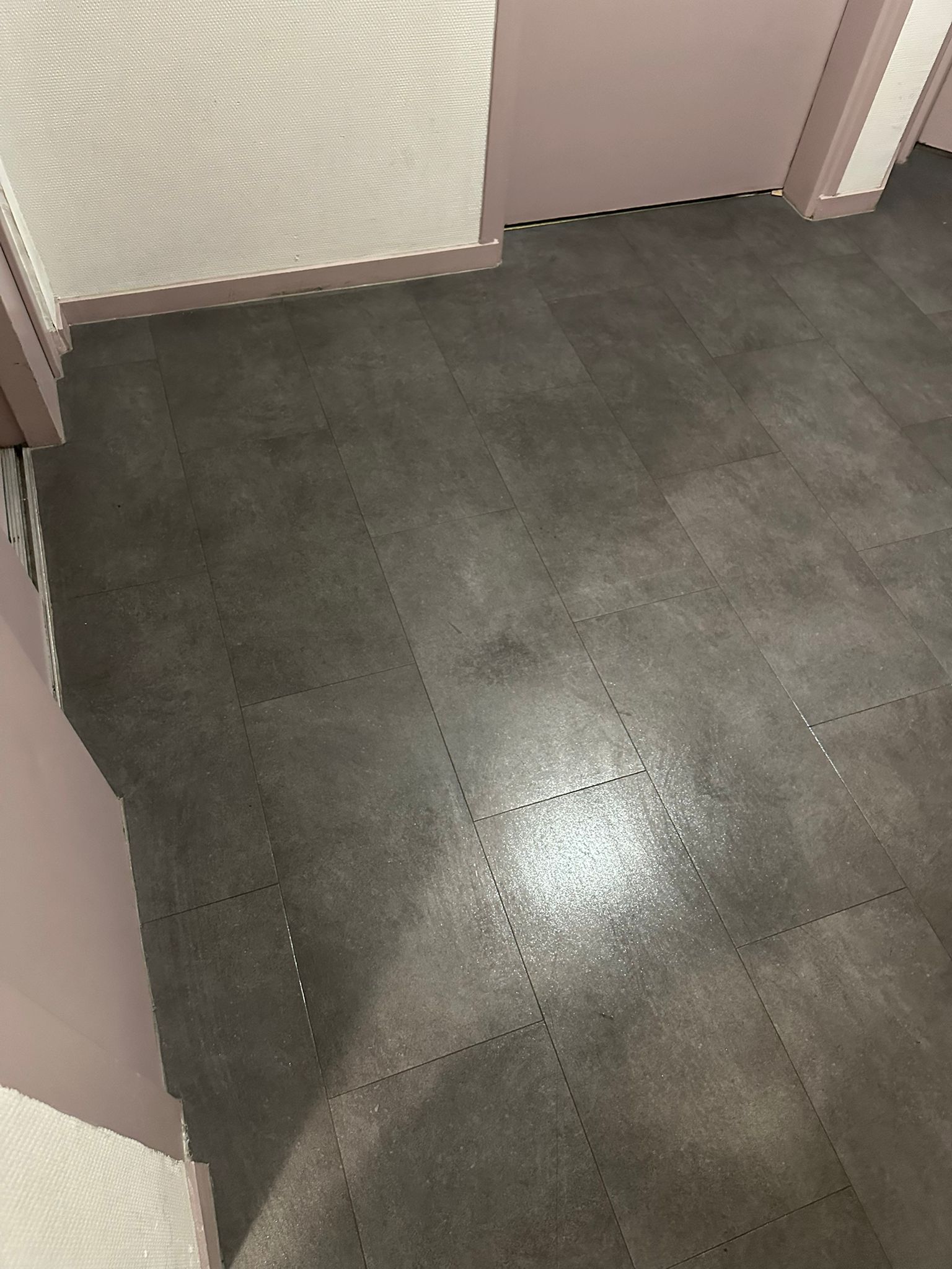 Nettoyage partie commune  toulouse 31000