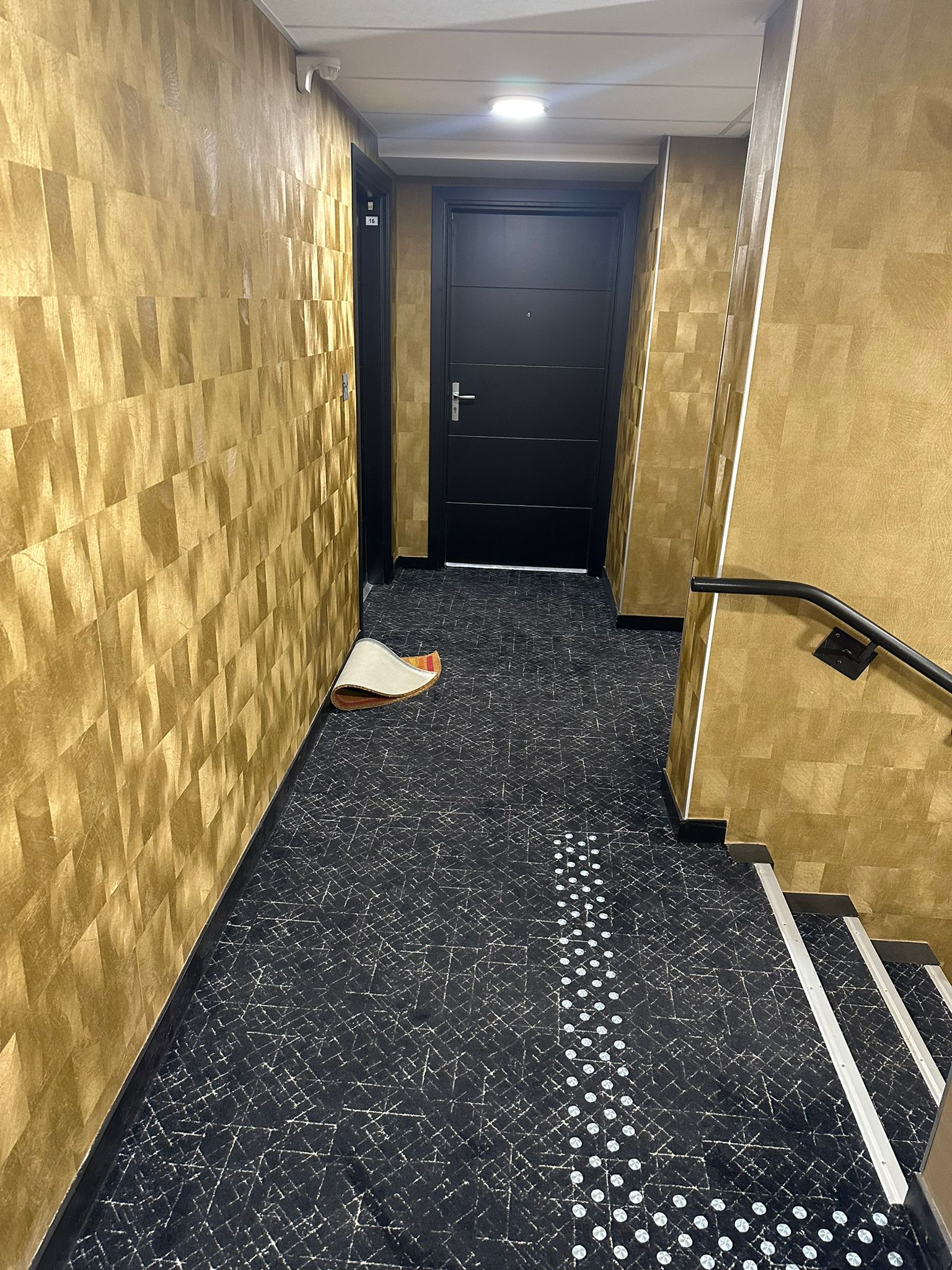 Nettoyage partie commune  longages 31410