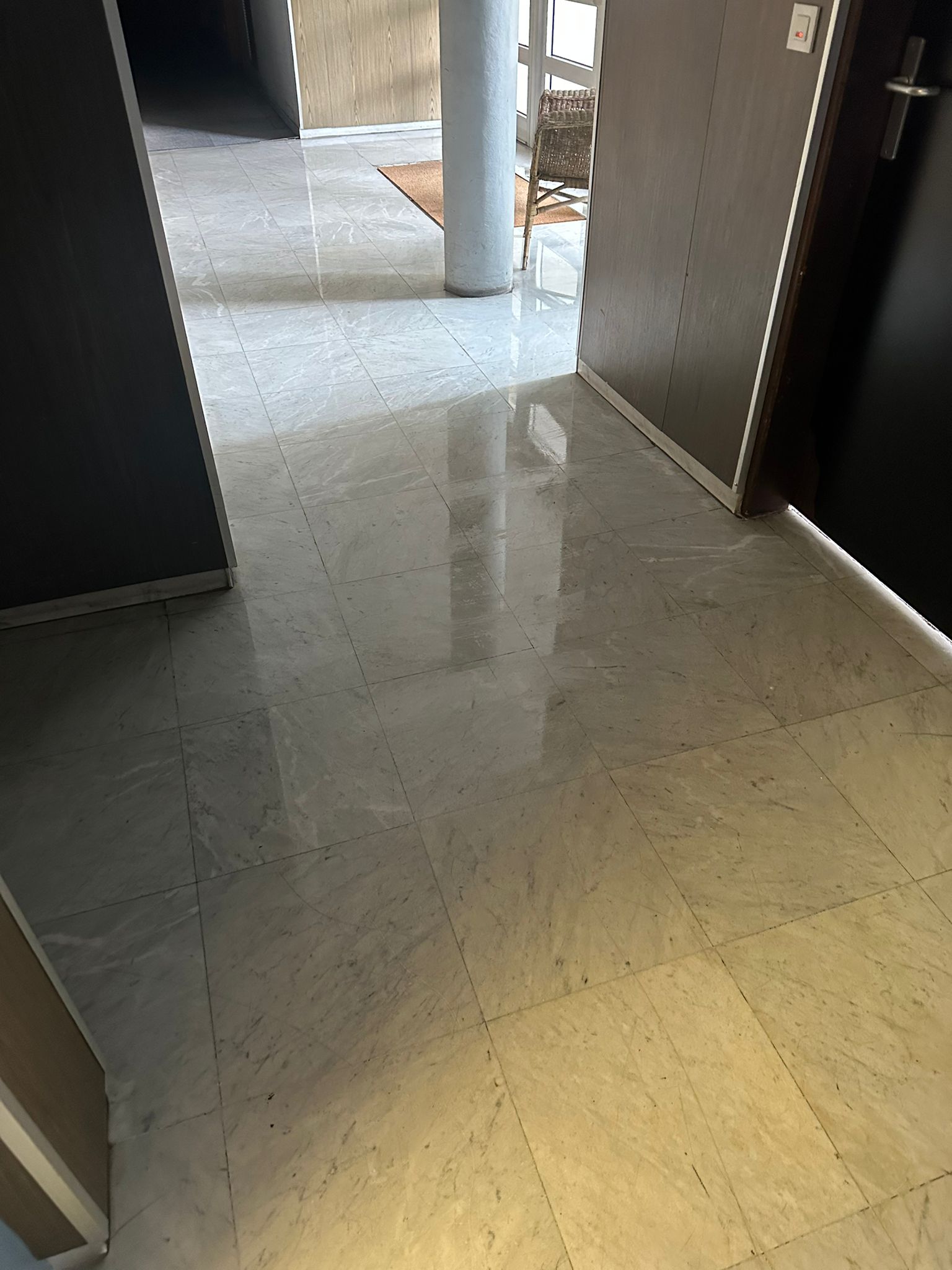 Nettoyage partie commune  toulouse 31000