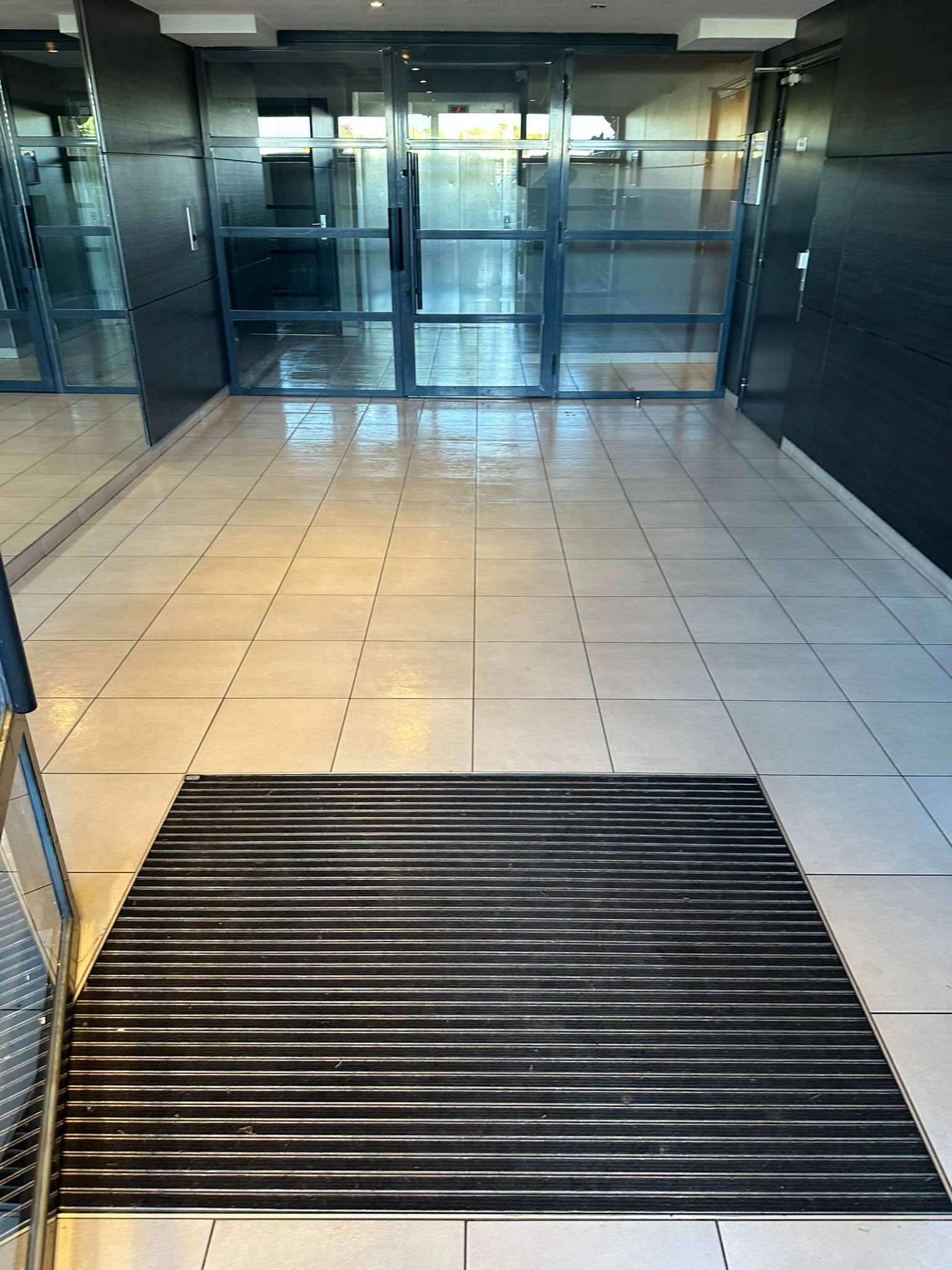 Nettoyage partie commune  toulouse 31000