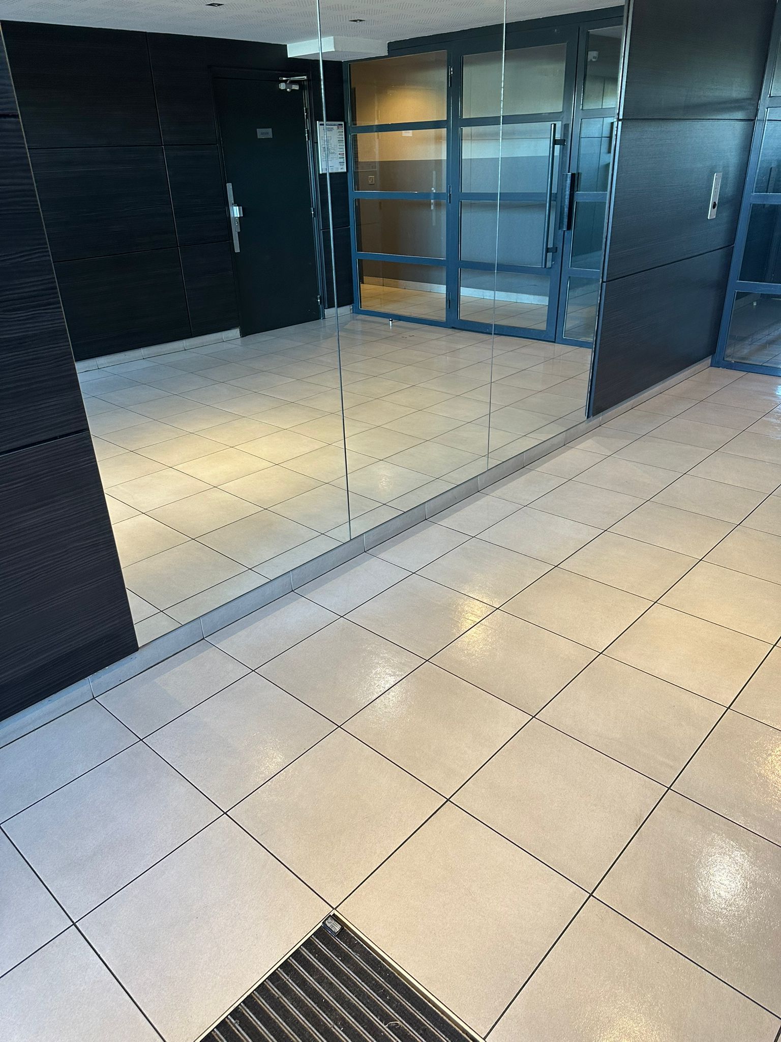 Nettoyage partie commune  toulouse 31000