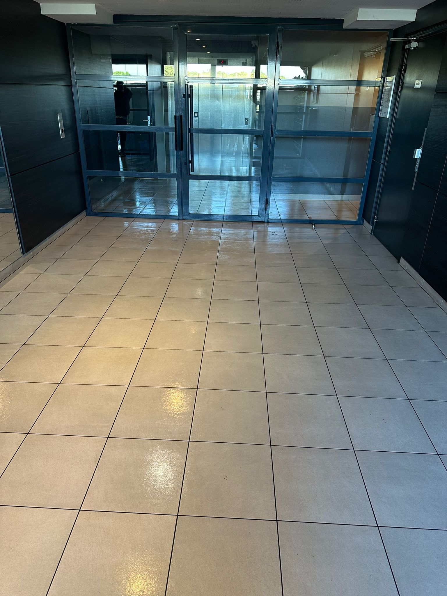 Nettoyage partie commune  toulouse 31000