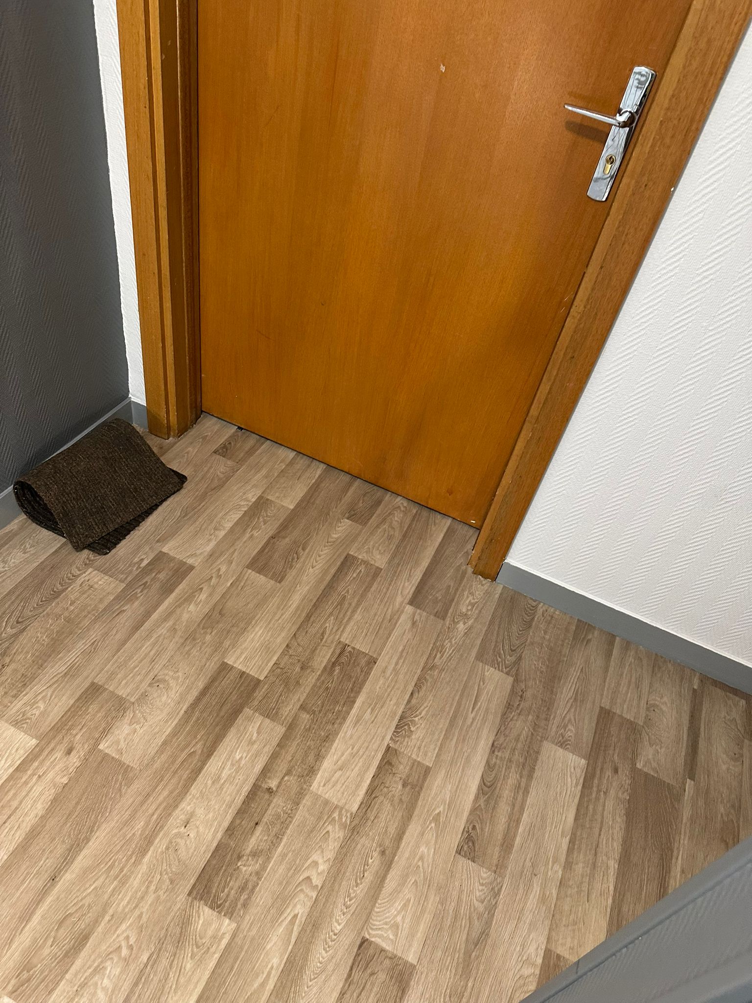 Nettoyage partie commune  toulouse 31000