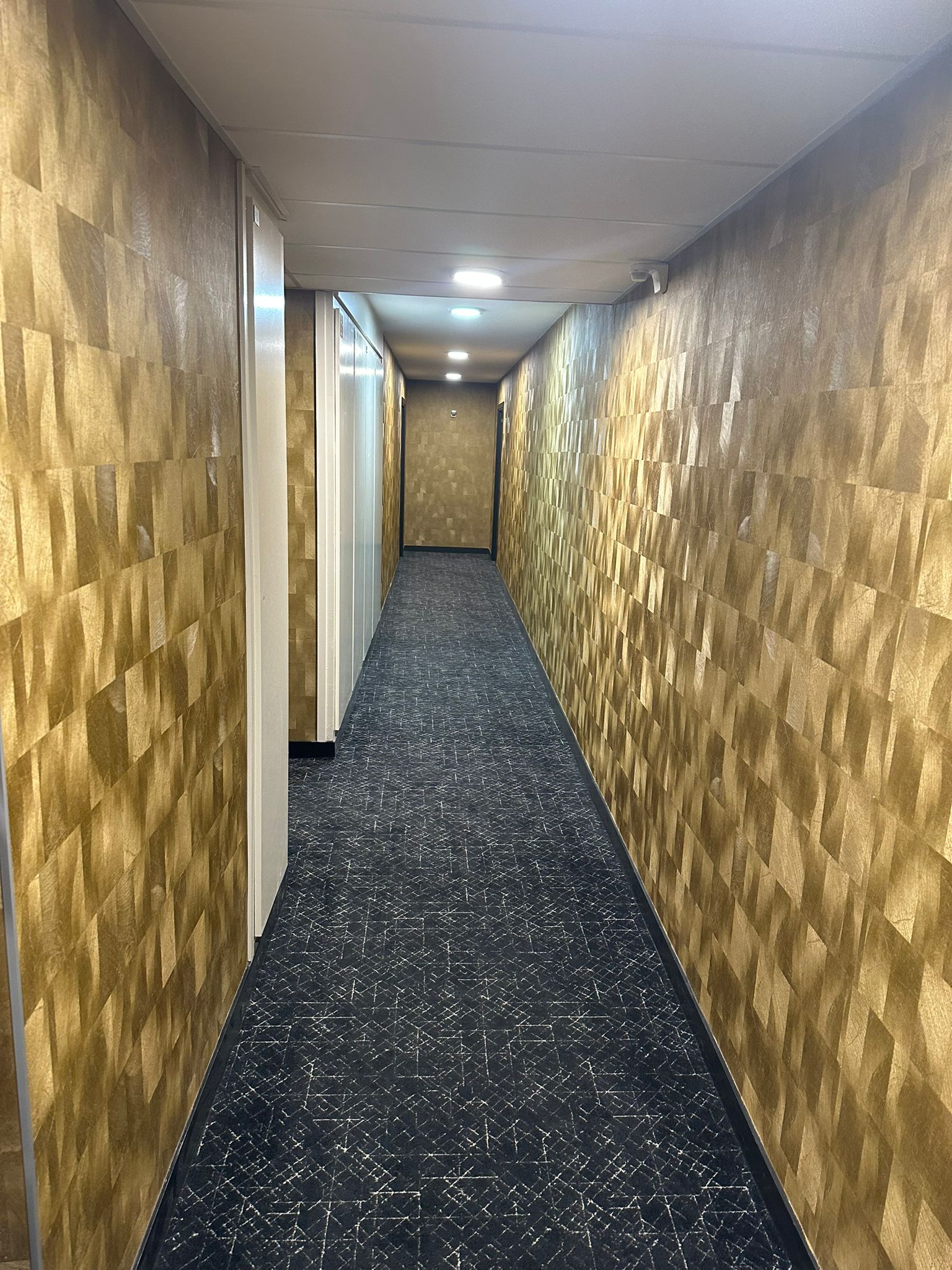 Nettoyage partie commune  longages 31410