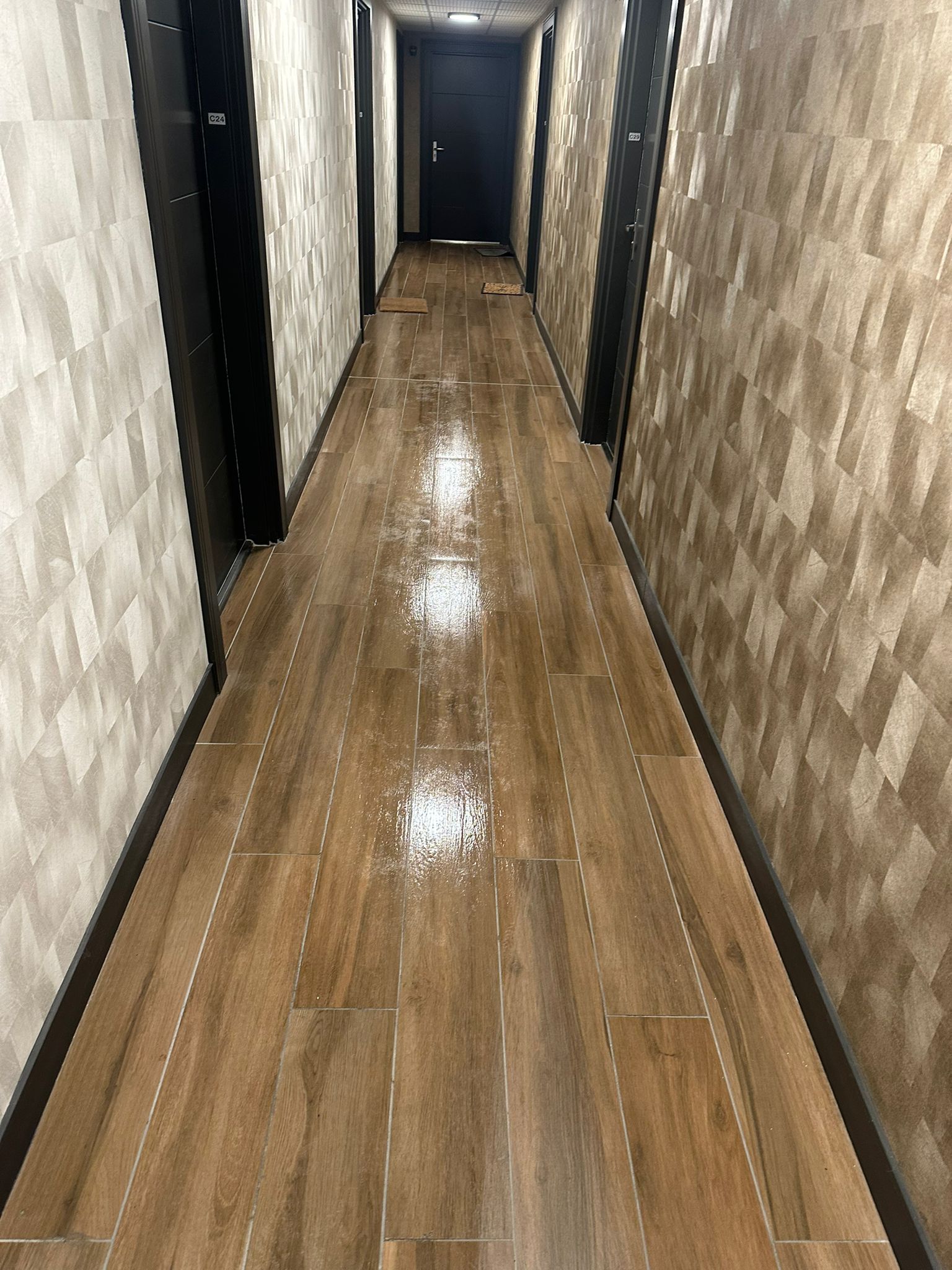 Nettoyage partie commune  toulouse 31000