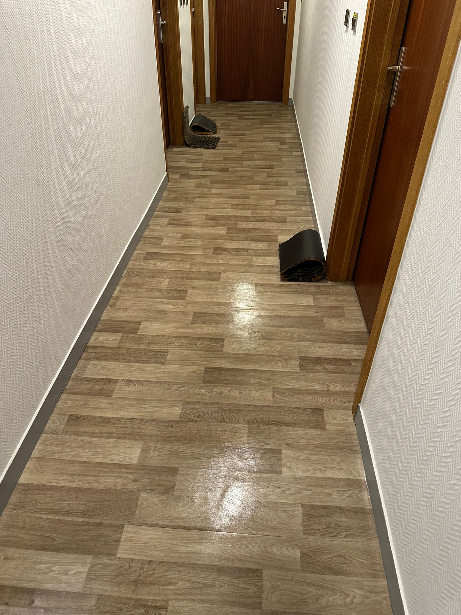 Nettoyage partie commune  toulouse 31000