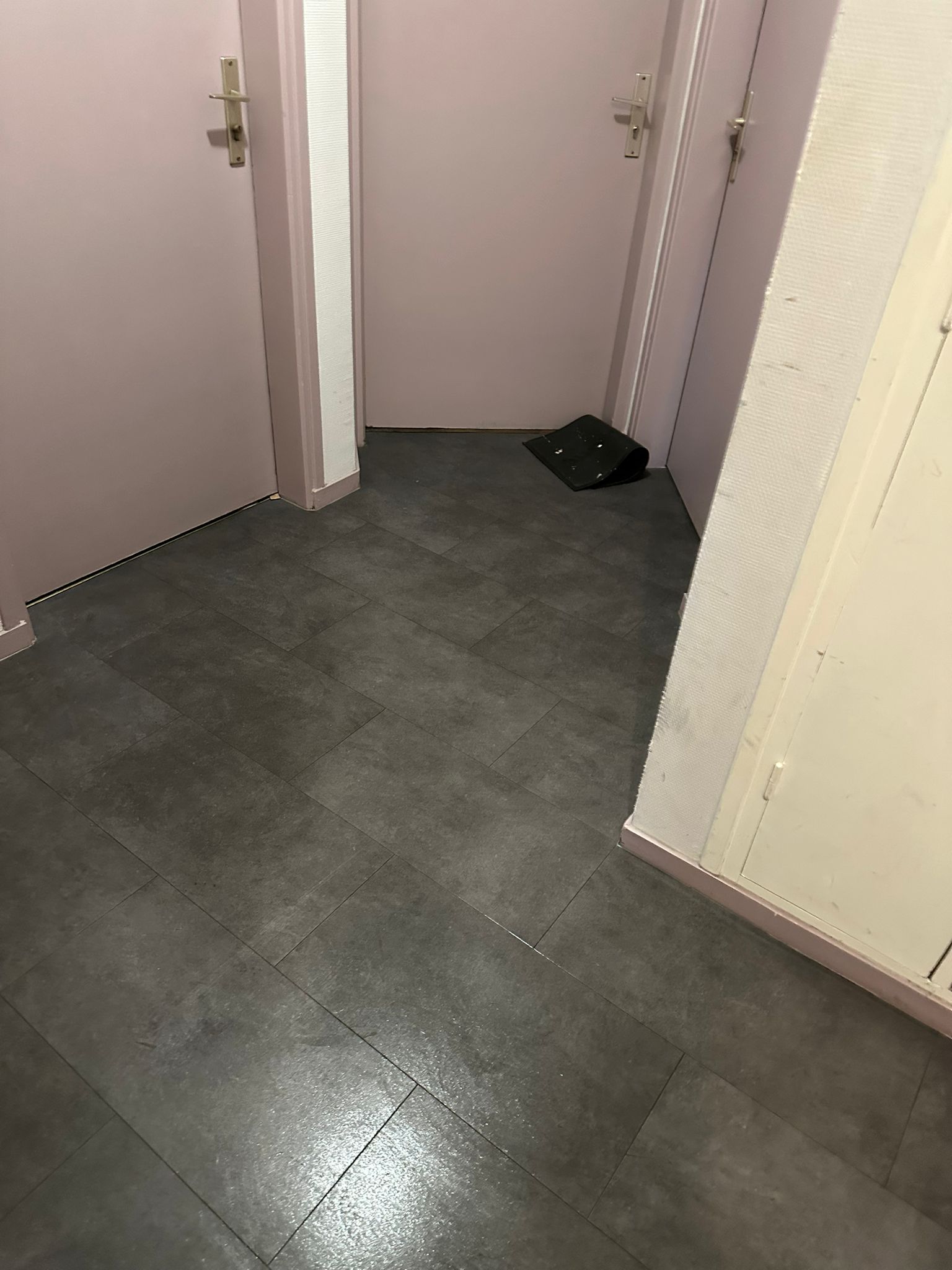 Nettoyage partie commune  toulouse 31000