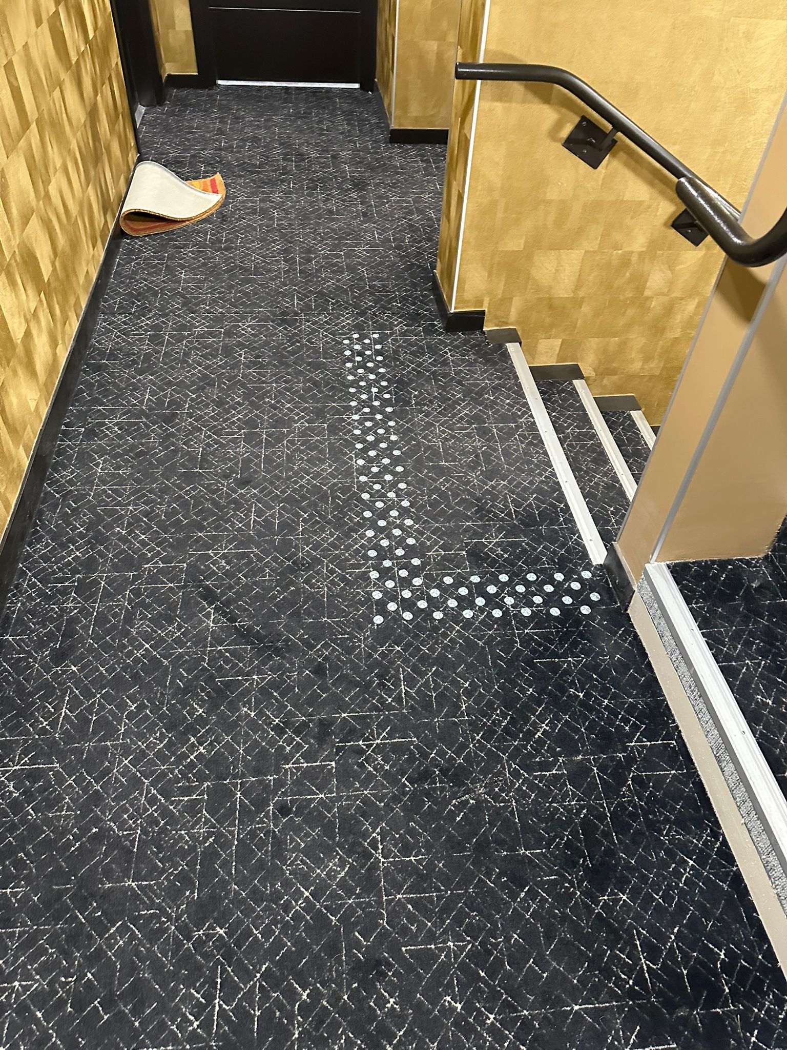 Nettoyage partie commune  longages 31410