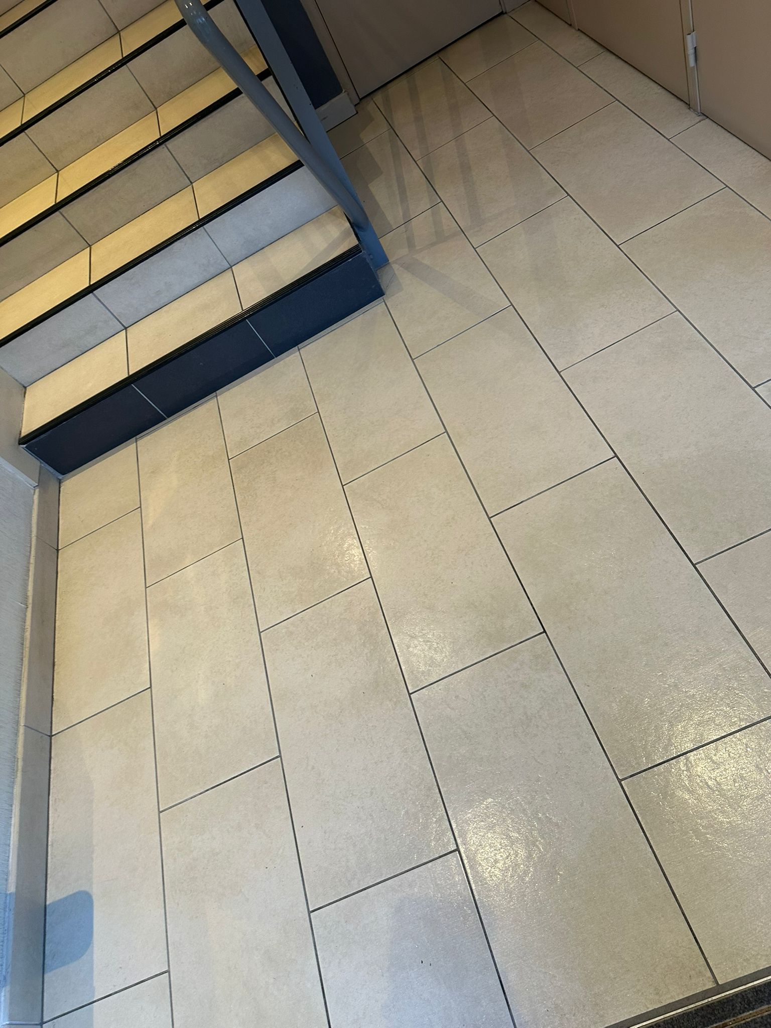 Nettoyage partie commune  toulouse 31000