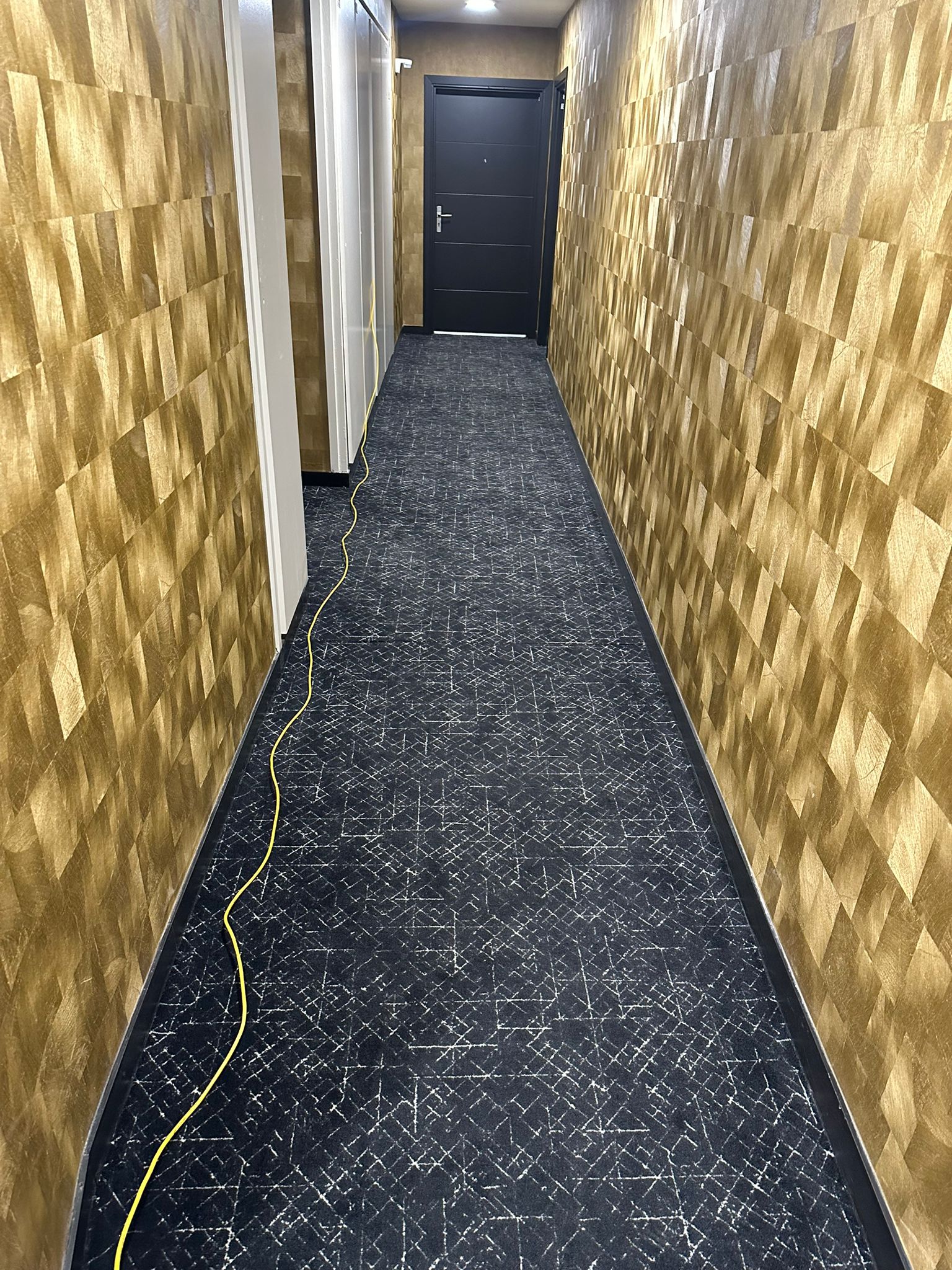 Nettoyage partie commune  longages 31410