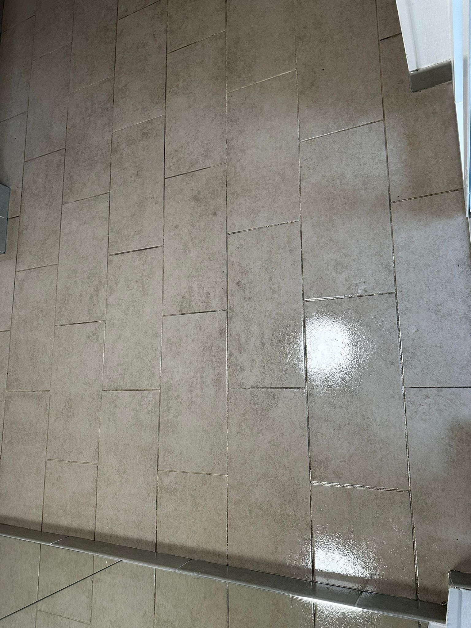 Nettoyage partie commune  toulouse 31000